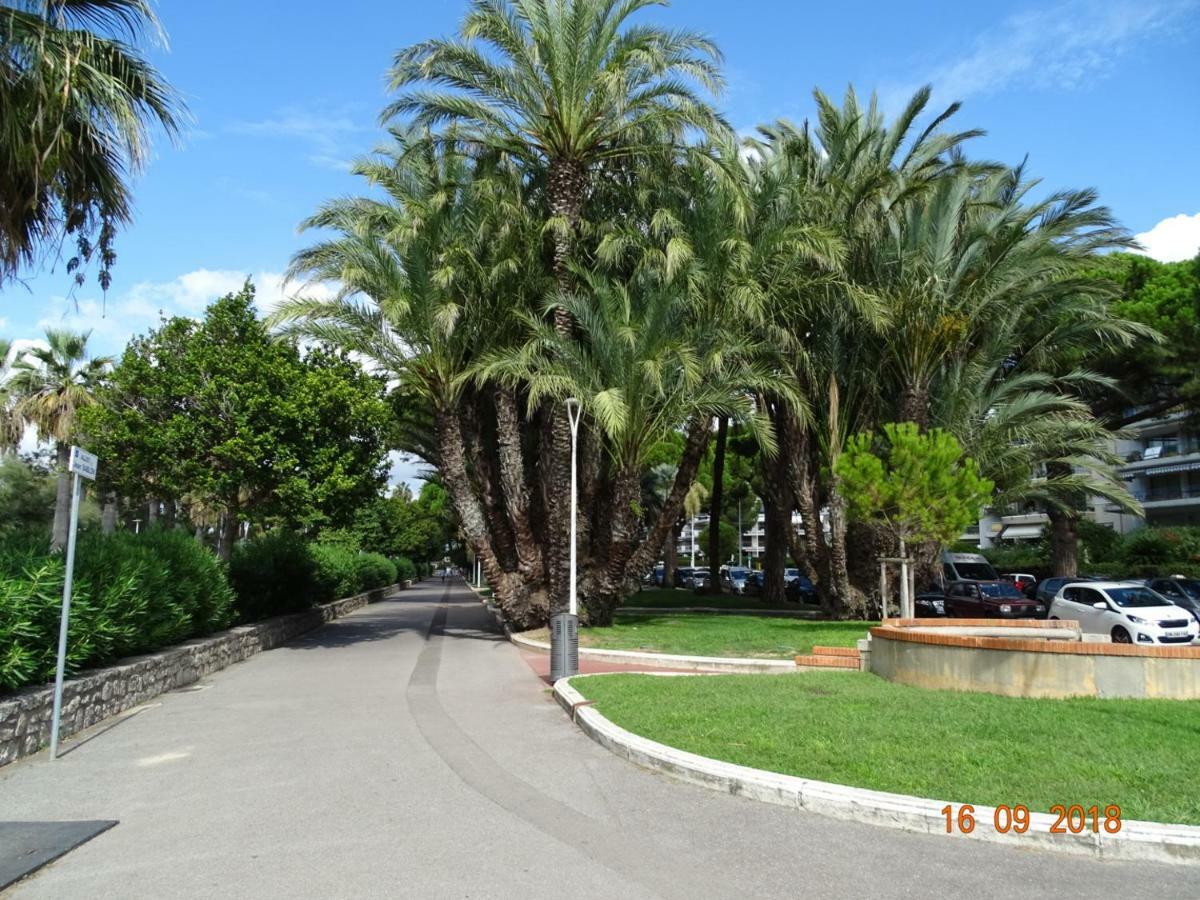 Palm Beach Cannes Azur Daire Dış mekan fotoğraf